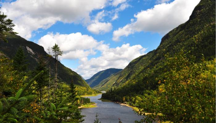 Top 5 expériences gourmandes dans Charlevoix à découvrir