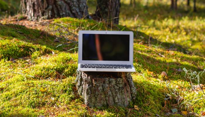 Télétravail en chalet : guide pratique à Charlevoix